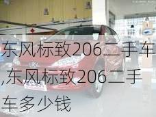 东风标致206二手车,东风标致206二手车多少钱-第1张图片-立方汽车网