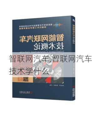 智联网汽车,智联网汽车技术学什么-第1张图片-立方汽车网