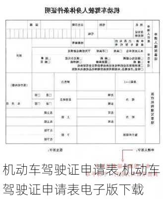 机动车驾驶证申请表,机动车驾驶证申请表电子版下载-第3张图片-立方汽车网