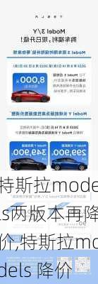 特斯拉models两版本再降价,特斯拉models 降价-第2张图片-立方汽车网