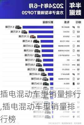 插电混动车型销量排行,插电混动车型销量排行榜-第3张图片-立方汽车网