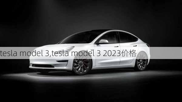 tesla model 3,tesla model 3 2023价格-第3张图片-立方汽车网