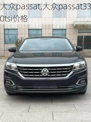 大众passat,大众passat330tsi价格-第3张图片-立方汽车网