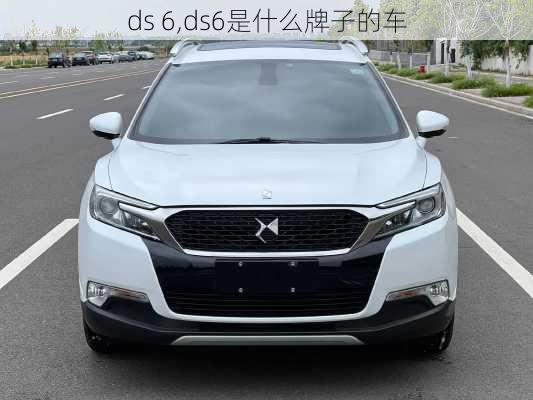 ds 6,ds6是什么牌子的车-第3张图片-立方汽车网