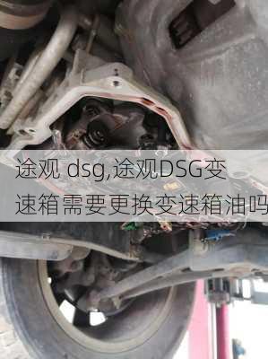 途观 dsg,途观DSG变速箱需要更换变速箱油吗-第3张图片-立方汽车网