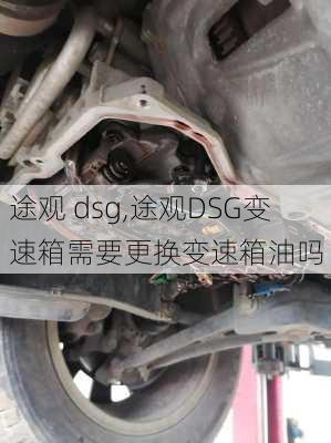 途观 dsg,途观DSG变速箱需要更换变速箱油吗-第2张图片-立方汽车网