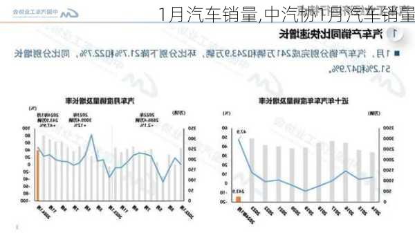 1月汽车销量,中汽协1月汽车销量-第2张图片-立方汽车网