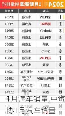 1月汽车销量,中汽协1月汽车销量-第3张图片-立方汽车网