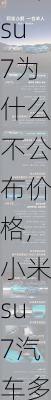 小米su7为什么不公布价格,小米su7汽车多少钱-第3张图片-立方汽车网