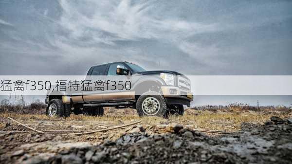 猛禽f350,福特猛禽f350-第1张图片-立方汽车网