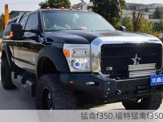 猛禽f350,福特猛禽f350-第2张图片-立方汽车网