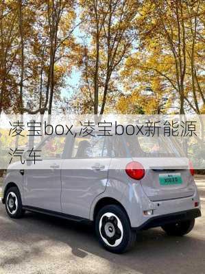 凌宝box,凌宝box新能源汽车-第1张图片-立方汽车网