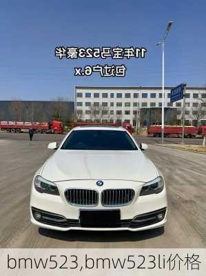 bmw523,bmw523li价格-第3张图片-立方汽车网