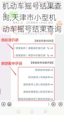 机动车摇号结果查询,天津市小型机动车摇号结果查询-第1张图片-立方汽车网