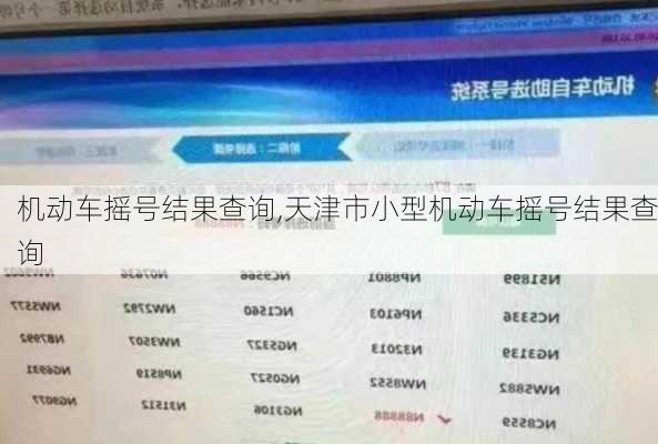 机动车摇号结果查询,天津市小型机动车摇号结果查询-第2张图片-立方汽车网