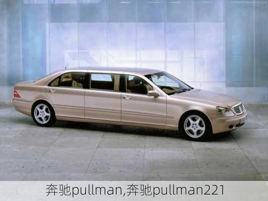 奔驰pullman,奔驰pullman221-第2张图片-立方汽车网