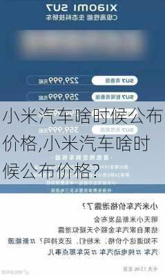 小米汽车啥时候公布价格,小米汽车啥时候公布价格?-第2张图片-立方汽车网