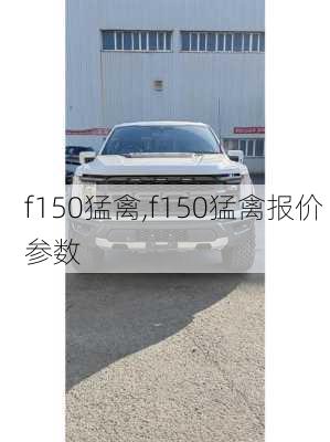 f150猛禽,f150猛禽报价 参数-第3张图片-立方汽车网