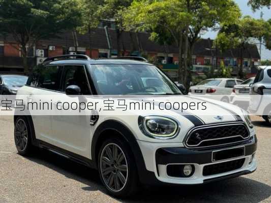 宝马mini cooper,宝马mini coopers-第3张图片-立方汽车网