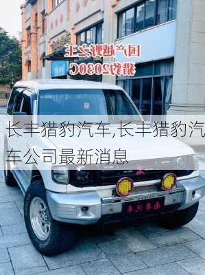 长丰猎豹汽车,长丰猎豹汽车公司最新消息-第1张图片-立方汽车网