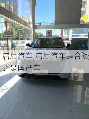 启辰汽车,启辰汽车是合资还是国产车-第1张图片-立方汽车网