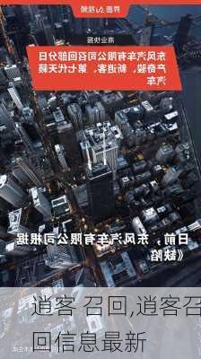 逍客 召回,逍客召回信息最新-第3张图片-立方汽车网