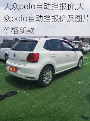 大众polo自动挡报价,大众polo自动挡报价及图片价格新款-第2张图片-立方汽车网