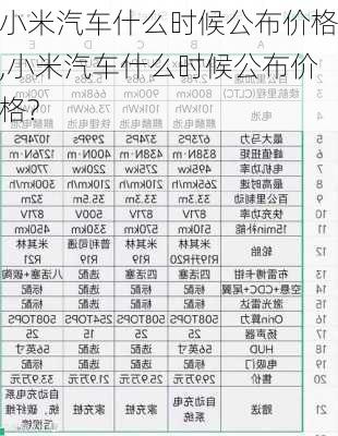 小米汽车什么时候公布价格,小米汽车什么时候公布价格?-第2张图片-立方汽车网