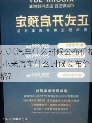 小米汽车什么时候公布价格,小米汽车什么时候公布价格?-第3张图片-立方汽车网