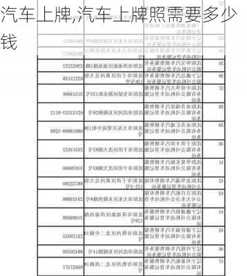 汽车上牌,汽车上牌照需要多少钱-第2张图片-立方汽车网