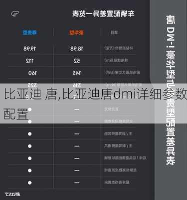 比亚迪 唐,比亚迪唐dmi详细参数配置-第3张图片-立方汽车网
