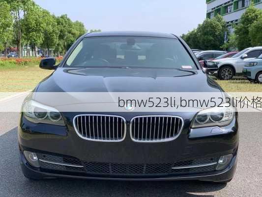 bmw523li,bmw523li价格-第1张图片-立方汽车网