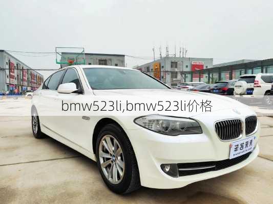 bmw523li,bmw523li价格-第2张图片-立方汽车网