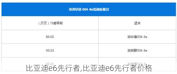 比亚迪e6先行者,比亚迪e6先行者价格-第1张图片-立方汽车网