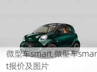 微型车smart,微型车smart报价及图片-第3张图片-立方汽车网