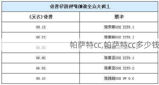 帕萨特cc,帕萨特cc多少钱-第2张图片-立方汽车网