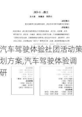 汽车驾驶体验社团活动策划方案,汽车驾驶体验调研-第3张图片-立方汽车网