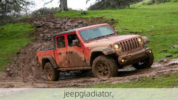 jeepgladiator,-第1张图片-立方汽车网