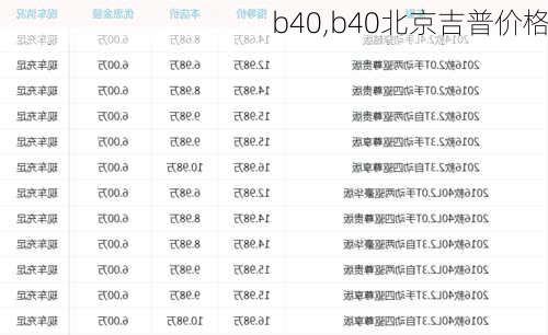 b40,b40北京吉普价格-第2张图片-立方汽车网