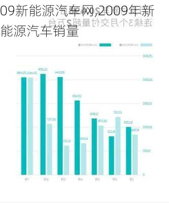 09新能源汽车网,2009年新能源汽车销量-第3张图片-立方汽车网