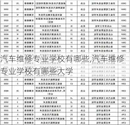 汽车维修专业学校有哪些,汽车维修专业学校有哪些大学-第1张图片-立方汽车网