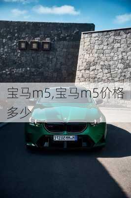 宝马m5,宝马m5价格多少-第2张图片-立方汽车网