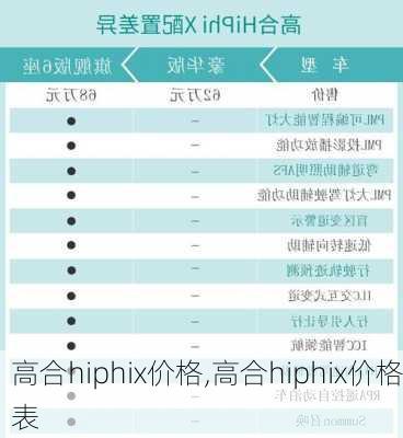 高合hiphix价格,高合hiphix价格表-第2张图片-立方汽车网