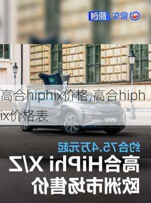 高合hiphix价格,高合hiphix价格表-第3张图片-立方汽车网