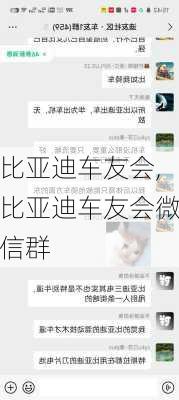 比亚迪车友会,比亚迪车友会微信群-第3张图片-立方汽车网