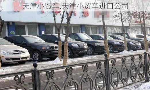 天津小贸车,天津小贸车进口公司