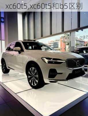 xc60t5,xc60t5和b5区别-第3张图片-立方汽车网