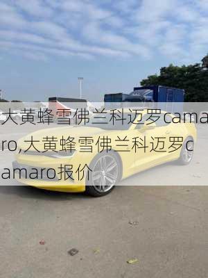 大黄蜂雪佛兰科迈罗camaro,大黄蜂雪佛兰科迈罗camaro报价