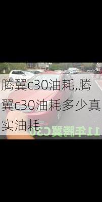 腾翼c30油耗,腾翼c30油耗多少真实油耗-第3张图片-立方汽车网